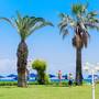Горящие туры в отель Sun Beach Resort Complex - 2