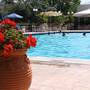 Горящие туры в отель Sun Beach - 2