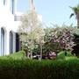 Горящие туры в отель La Perla Better Life Resort - 5