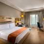 Горящие туры в отель Holiday Inn Agra - 4