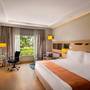 Горящие туры в отель Holiday Inn Agra - 2