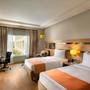 Горящие туры в отель Holiday Inn Agra - 1