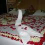 Горящие туры в отель Sagara Beach Resort - 4