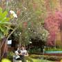 Горящие туры в отель Uday Samudra Leisure Beach Hotel & Spa - 2
