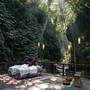 Горящие туры в отель Nandini Jungle by Hanging Gardens - 5
