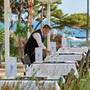 Горящие туры в отель Hipotels Eurotel Punta Rotja & Spa - 6