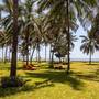 Горящие туры в отель Neptune Paradise Beach Resort & Spa - 1