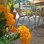 Горящие туры в отель Estella Hotel Apartments - 5