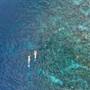 Горящие туры в отель Baros Maldives - 5