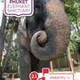 Горящие туры в отель Andatel Grande Patong Phuket Hotel - 2