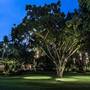 Горящие туры в отель Paradox Resort Phuket - 6