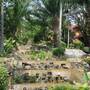 Горящие туры в отель Nova Samui Resort - 2