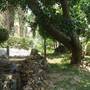 Горящие туры в отель Nova Samui Resort - 4