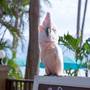 Горящие туры в отель Pinnacle Samui Resort & Spa - 3