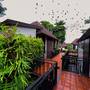 Горящие туры в отель The Cliff Elegance Resort - 4