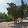 Горящие туры в отель Nazar Beach City Resort Hotel - 1