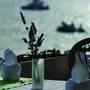 Горящие туры в отель Villa Dalmacija Hotel Hvar - 2