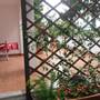 Горящие туры в отель Hotel Lovran - 4