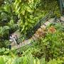 Горящие туры в отель Sans Souci Resort & Spa - 2