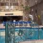 Горящие туры в отель White Dolphin Complex - 3