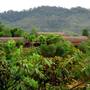 Горящие туры в отель Hilton Batang Ai Longhouse Resort - 2
