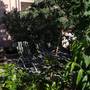 Горящие туры в отель Villa Dubravka - 5