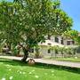Горящие туры в отель Hoi An Historic Hotel - 1