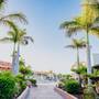 Горящие туры в отель Hotel Landmar Costa Los Gigantes - 2