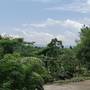 Горящие туры в отель Lingganay Boracay Hotel Resort - 5