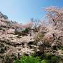 Горящие туры в отель Grand Prince Hotel Takanawa - 4