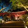 Горящие туры в отель Grand Prince Hotel Takanawa - 1