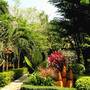 Горящие туры в отель Samui Garden Home - 5