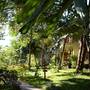Горящие туры в отель Ancarine Beach Resort - 4