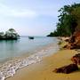 Горящие туры в отель Mangrove Lodge - 1