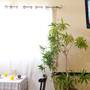 Горящие туры в отель Sun Aviv Hotel - 4