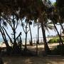 Горящие туры в отель Ranveli Beach Resort - 4