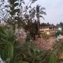 Горящие туры в отель Ivon Guest House - 6