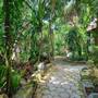 Горящие туры в отель Riviera Maya Suites, Playa del Carmen - 4