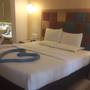 Горящие туры в отель The Ocean Park Resort - 1