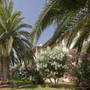 Горящие туры в отель Aparthotel Ferrer Lime Isabel - 3