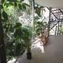 Горящие туры в отель Hotel Playa del Karma, Playa del Carmen - 6