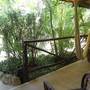 Горящие туры в отель Hotel Playa del Karma, Playa del Carmen - 2
