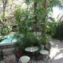 Горящие туры в отель Hotel Playa del Karma, Playa del Carmen - 5