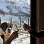 Горящие туры в отель Hotel Maison De Neige - 4