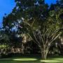 Горящие туры в отель Movenpick Villas & Spa Karon Beach - 4