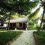 Горящие туры в отель Waikiki Zanzibar Resort - 6