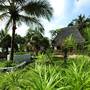 Горящие туры в отель Waikiki Zanzibar Resort - 2