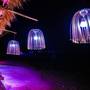 Горящие туры в отель Coral Rock Hotel - 5