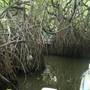 Горящие туры в отель Kurumba Hills, Bentota - 3