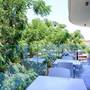 Горящие туры в отель Rio Gardens - 1